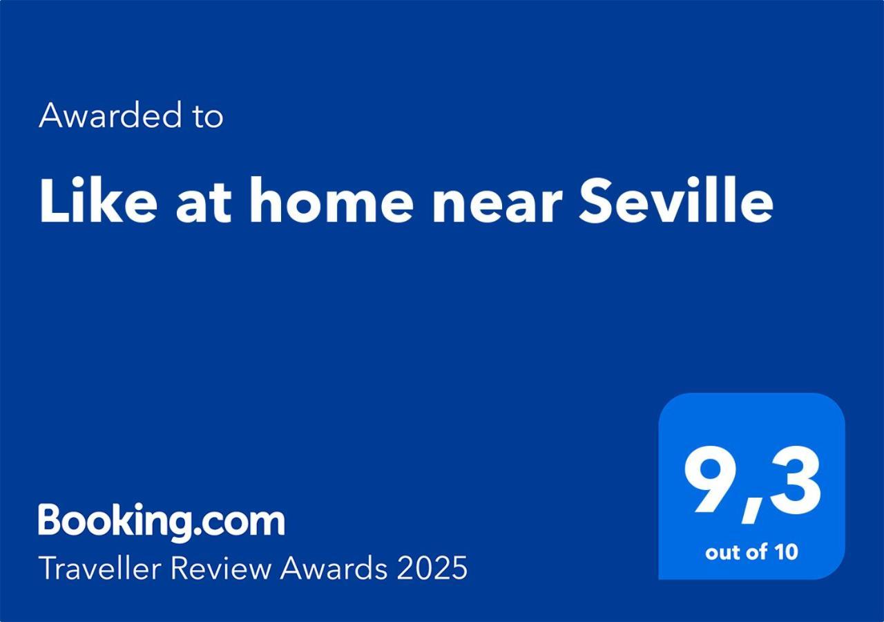 Like At Near Seville
